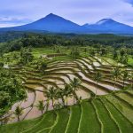 oferte exact.travel vacanta in indonezia