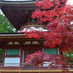 oferte exact.travel vacanta in japonia